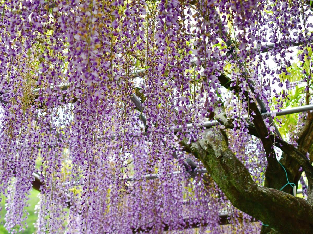 Hotel Tomioka-Ya Fujieda Buitenkant foto
